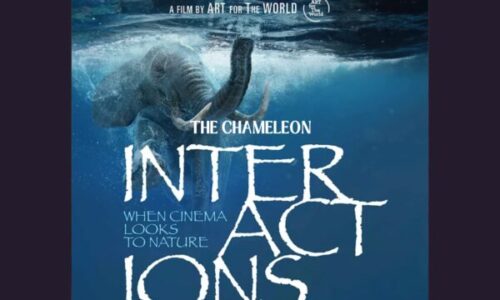 INTERACTIONS: THE CHAMELEON