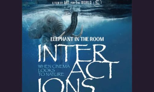 INTERACTIONS: ELEPHANT IN THE ROOM