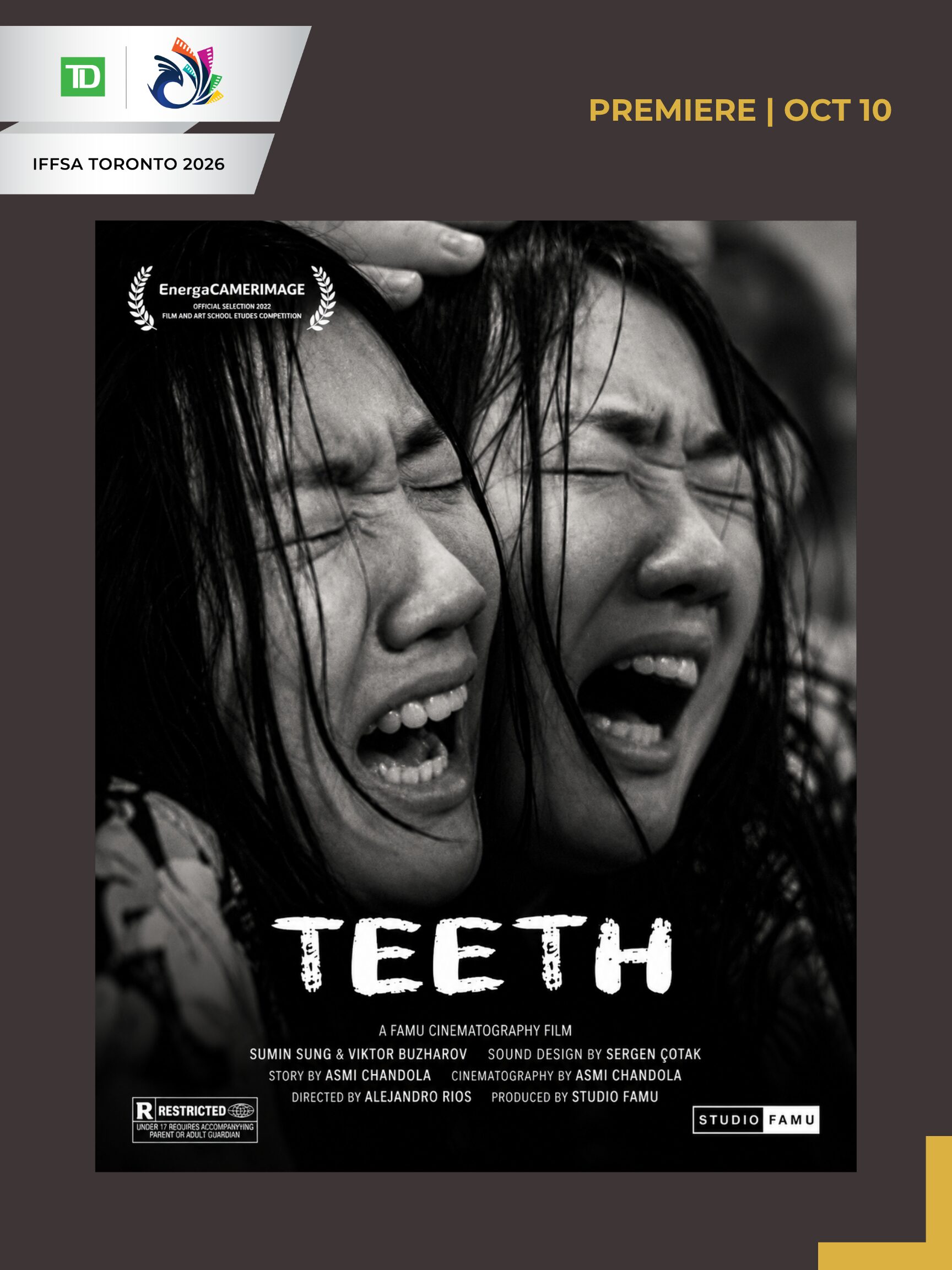 TEETH TEETH