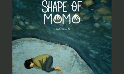 SHAPE OF MOMO